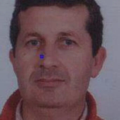 José Inácio de Jesus Rodrigues